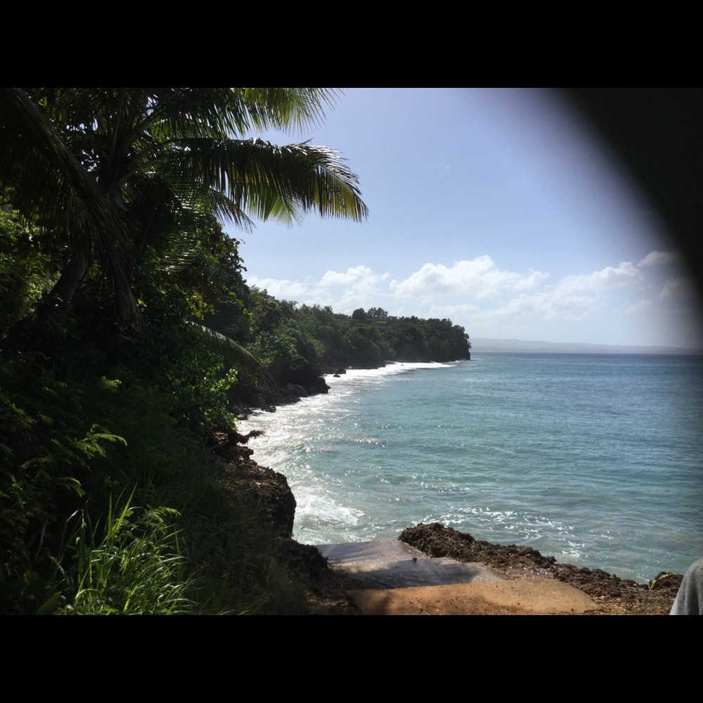 Meet your Posher, Clarissa